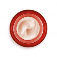 Liftactiv Specialist Collagen Noche 50