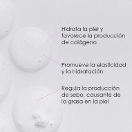 Sérum Concentrado Niacinamida + Ácido Hialurónico 30 Ml Pharmacius Cosmetics