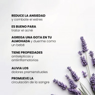 Aceite Esencial Lavanda Bio 30 Ml Pharmacius Lab