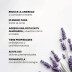 Aceite Esencial Lavanda Bio 30 Ml Pharmacius Lab