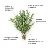 Aceite Esencial Romero Bio 30 Ml Pharmacius Lab