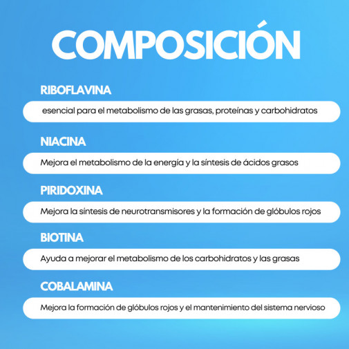 Vitamina B Plus 60 Comprimidos Pharmacius Lab