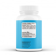 Ginseng Rojo 60 Cápsulas Pharmacius Lab