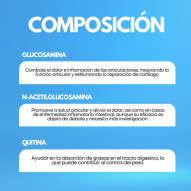 Chitosan 60 Cápsulas Pharmacius Lab
