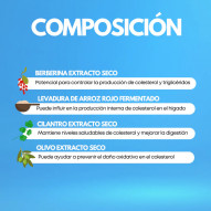 Colesterol 60 Cápsulas Vegetales Pharmacius Lab