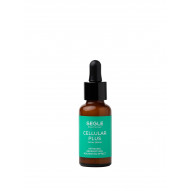 Segle Clinical Cellular...