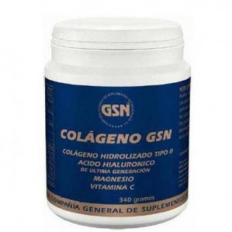 Colágeno Gsn con Ácido Hialurónico Naranja 340 g Gsn