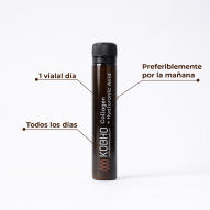 Kobho Colageno + Acido Hialuronico 20 Viales