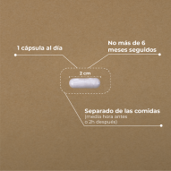 Kobho Acido Alfa Lipoico 60 Cápsulas