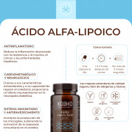 Kobho Acido Alfa Lipoico 60 Cápsulas