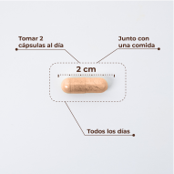 Kobho W Balance 60 Cápsulas