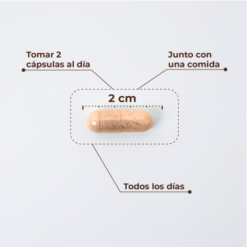 Kobho W Balance 60 Cápsulas