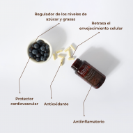 Kobho Trans Resveratrol Quercitina 60 Cápsulas