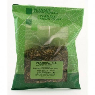 Equinacea Purpurea Triturada 100 g Plameca