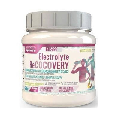 Electrolyte Recocovery 450 g Marnys