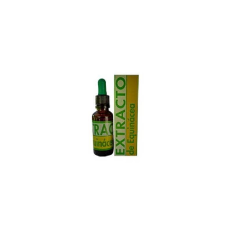 Extracto de Echinacea 31 ml. Equisalud