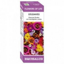 Flower of Life Estudiantes 15 ml Equisalud