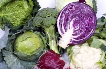 Alimentos que provocan gases