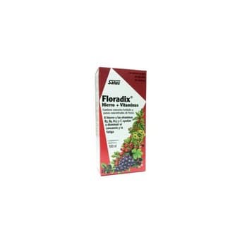 Floradix Jarabe 500 ml