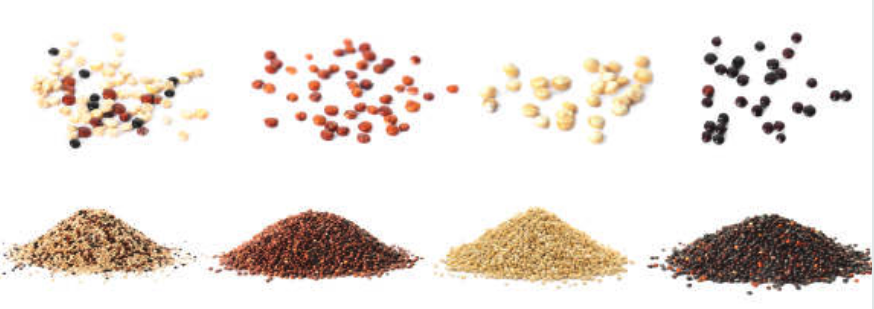tipos de quinoa: blanca, roja, negra y tricolor