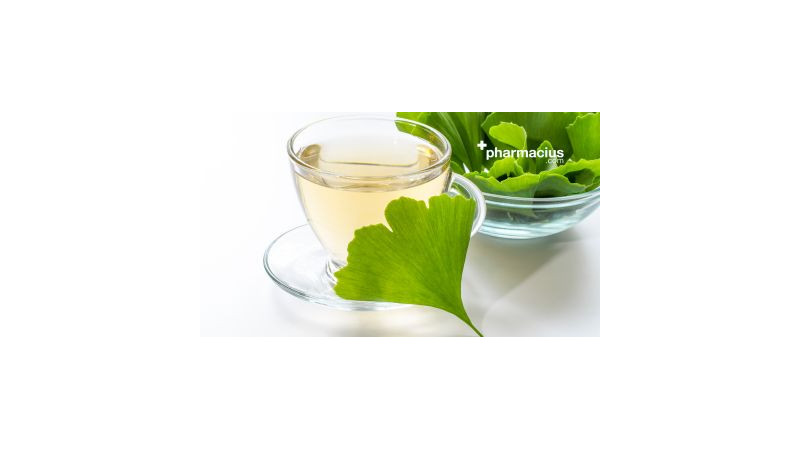 Ginkgo Biloba: propiedades, beneficios y como tomarlo