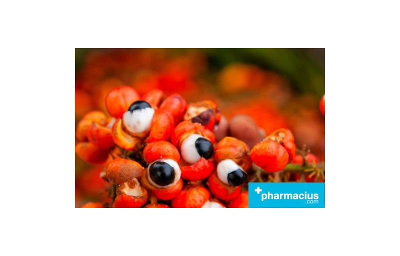 Propiedades y usos del Guaraná