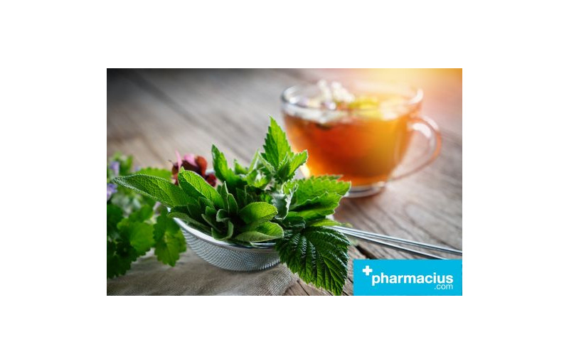 Infusiones: Tipos, Propiedades y Beneficios