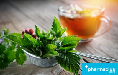 Infusiones: Tipos, Propiedades y Beneficios