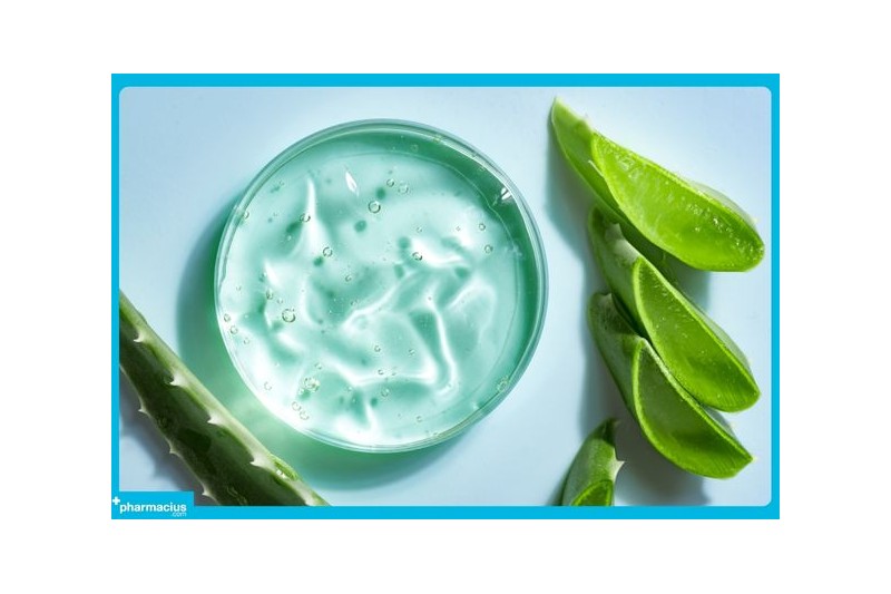 Aloe vera, una planta con muchas propiedades beneficiosas para la piel